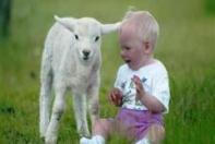 Vakantiepark t Wildrijck