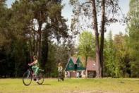 Vakantiepark Coldenhove