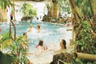 Vakantiepark Het Vennenbos