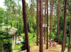 Vakantieparken bos